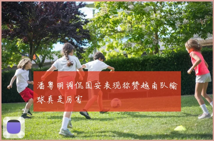 潘粤明调侃国安表现称赞越南队输球真是厉害