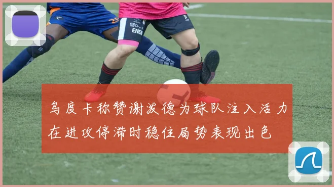 乌度卡称赞谢泼德为球队注入活力在进攻停滞时稳住局势表现出色